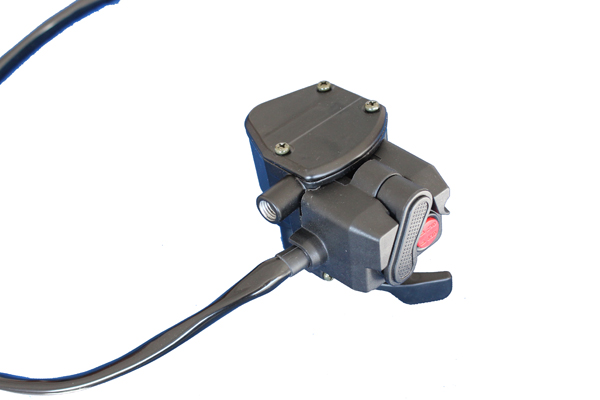 Wwo/four-wheel self-locking switch with throttle fixing pedestal